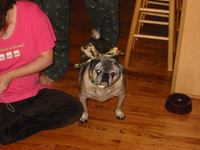 140-4057_IMG.JPG