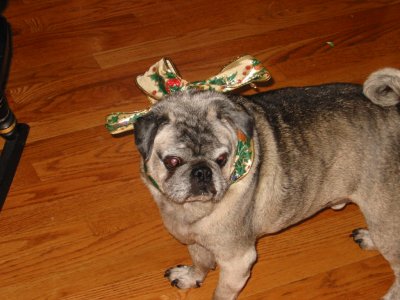 140-4059_IMG.JPG