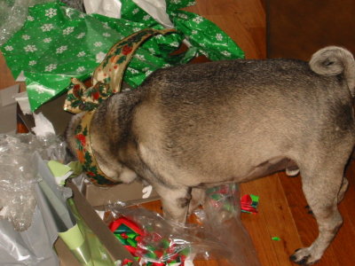 140-4061_IMG.JPG