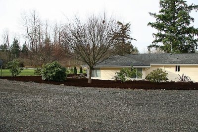 IMG_9875.JPG
