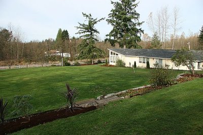 IMG_9878.JPG