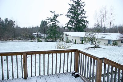 first snow.jpg