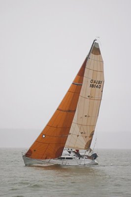 Soverel 33.jpg