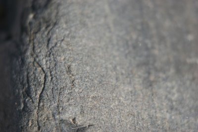 IMG_0086.JPG