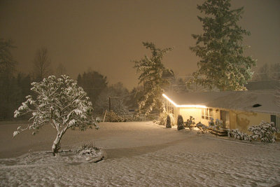 snow 1.jpg