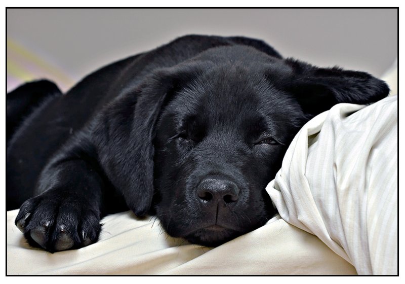 sleepy model