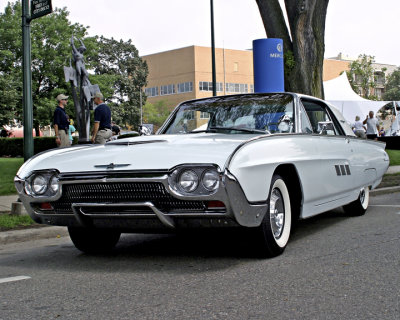 baby blue bird.jpg