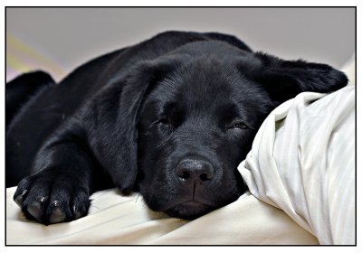 sleepy model
