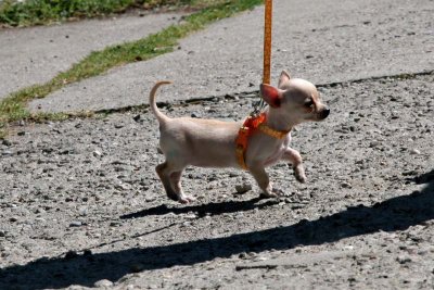 ________IMG_9651.jpg