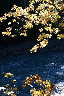 British Columbia: Pemberton