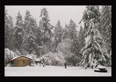 Snowy Vancouver