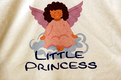 Little Princess' Diary