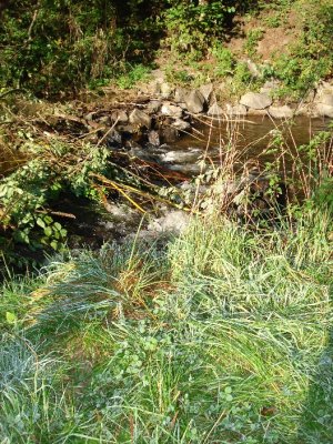 ardennen2007 024.jpg