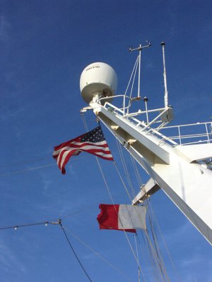 PICT3351.jpg