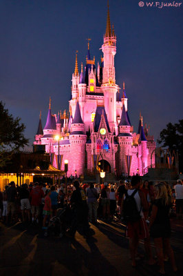 Cinderella Castle