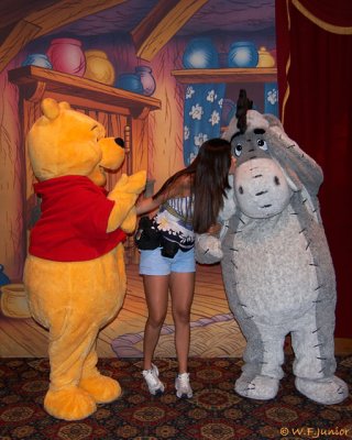 Meeting Pooh and Eeyore