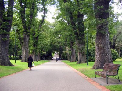 Trees in Fitzroy garden Melbourne