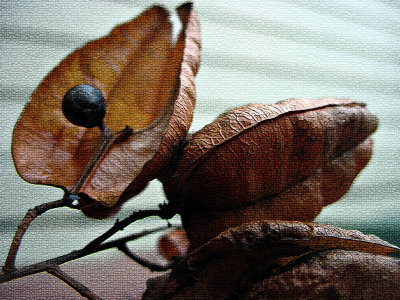 Great acts are made up of small deeds. - Lao Tzu