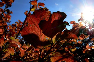 One life - a little gleam of Time between two Eternities. - Thomas Carlyle