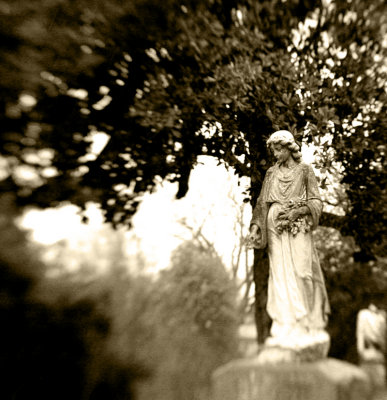 Lady in Sepia