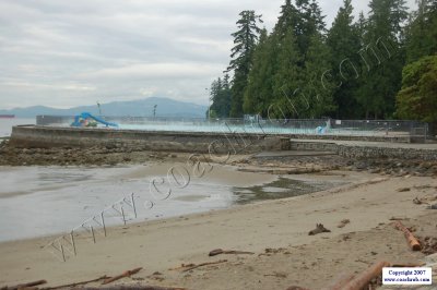 WdCupVan-0009.JPG
