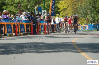 WdCupVan-0679.JPG