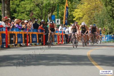 WdCupVan-0709.JPG