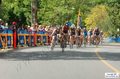 WdCupVan-0710.JPG