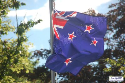 WdCupVan-0906.JPG