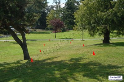 LPXC--055.JPG