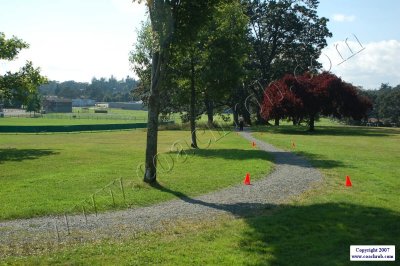 LPXC--099.JPG