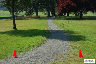 LPXC--100.JPG