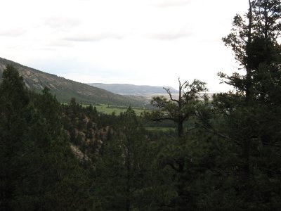 IMG_1453.JPG