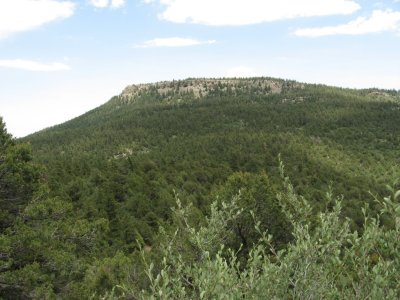 IMG_1525.JPG