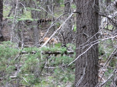 IMG_1530.JPG