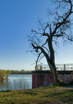 Vistula & Narew Rivers