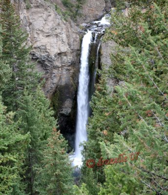 Yellowstone