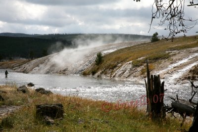 Yellowstone