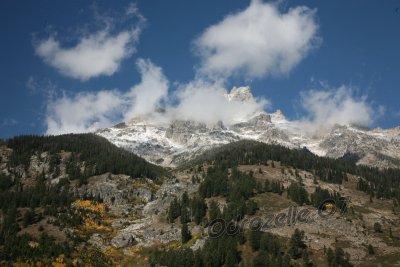 IMG_3228.jpg