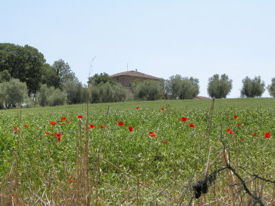 DSCN5053_resize.JPG