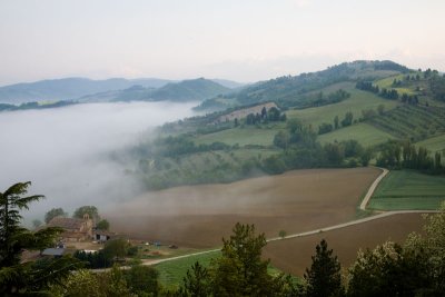 Foggy Hillside