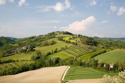 Umbria Countryside
