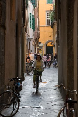g6/56/520456/3/79539924.ZlP6bTeL.jpg