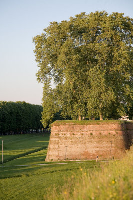 g6/56/520456/3/79539932.Rchsbz5X.jpg