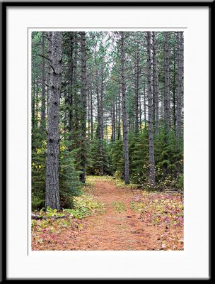 Gunflint Trail, Minnesota