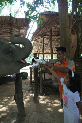 bottle feeding.jpg