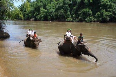 elephants crossing the river.jpg