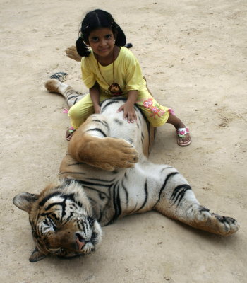 riding a tiger.jpg
