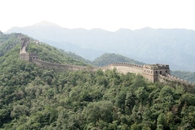 the wall 1.jpg