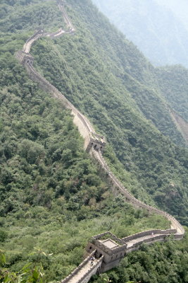 the wall 2.jpg